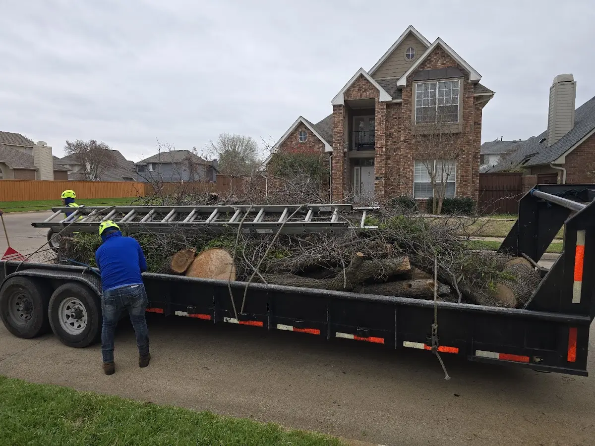 Expert Lot Clearing with proper safety equipment in Centuria